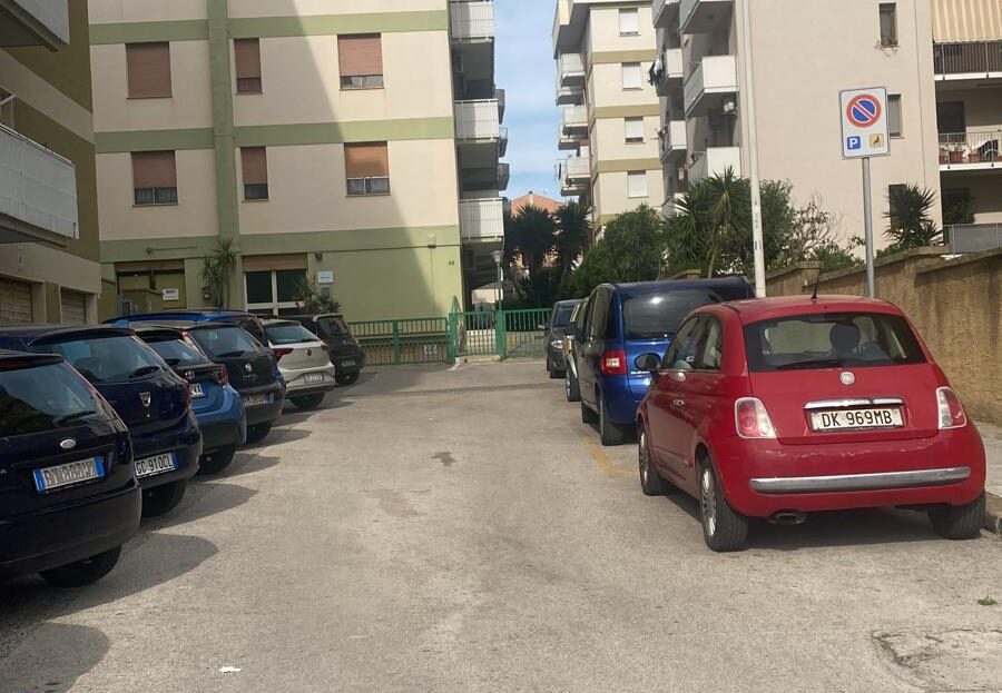 immagine video
